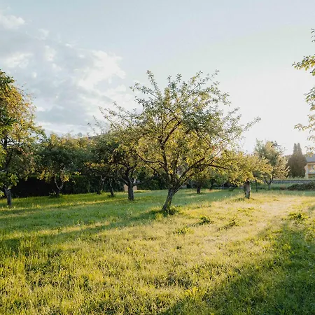 Garten-hotel Ochensberger 4* Sankt Ruprecht an der Raab
