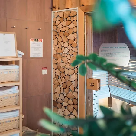 Garten-hotel Ochensberger 4*